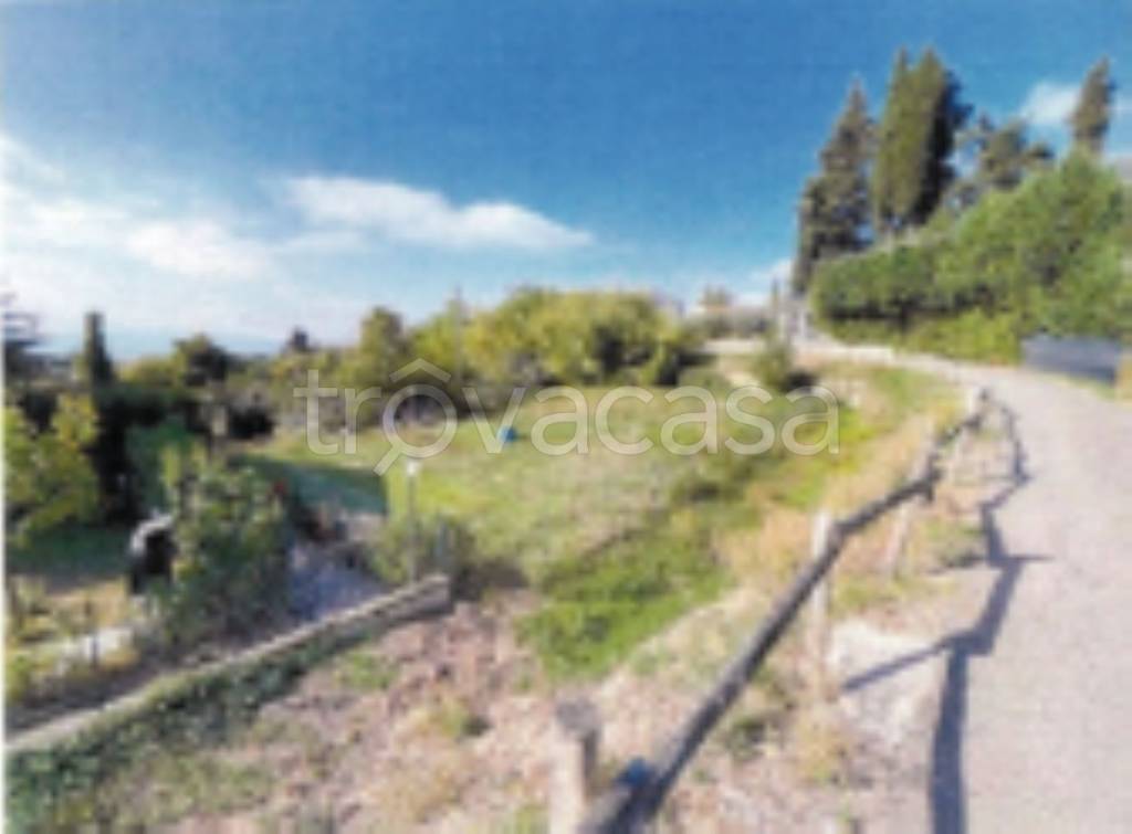 terreno agricolo in vendita a Borgo San Lorenzo in zona Polcanto