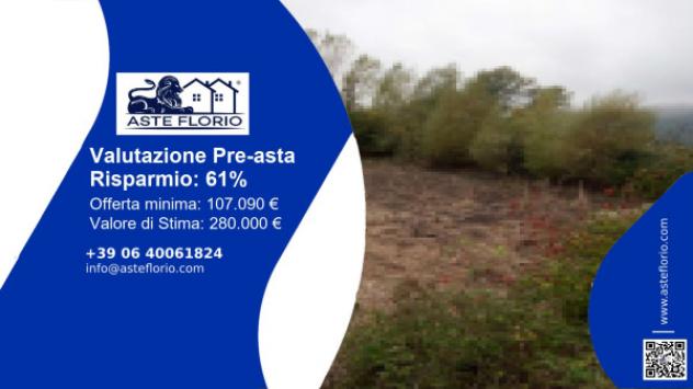 terreno agricolo in vendita a Borgo San Lorenzo in zona Montepulico