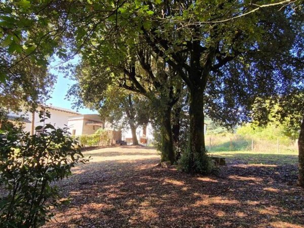 appartamento in vendita a Borgo San Lorenzo in zona Grezzano