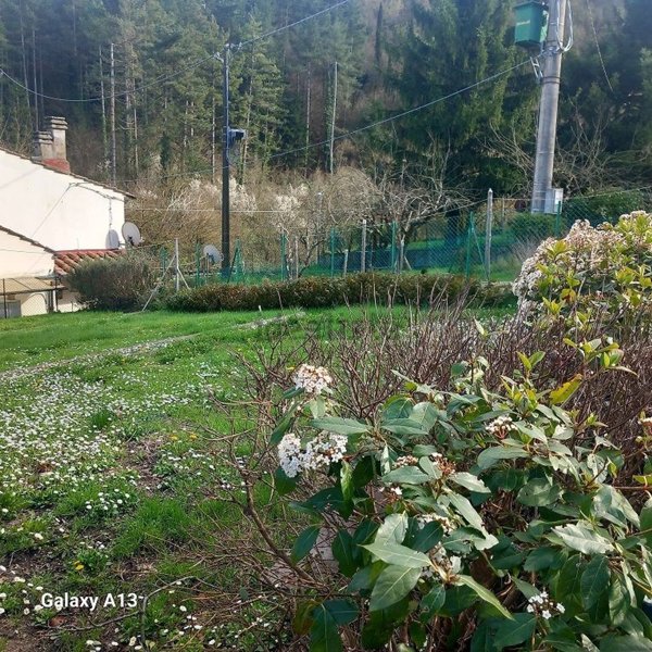 appartamento in vendita a Borgo San Lorenzo in zona Polcanto