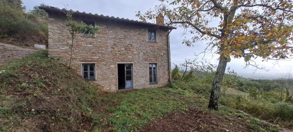 casa indipendente in vendita a Borgo San Lorenzo in zona Panicaglia
