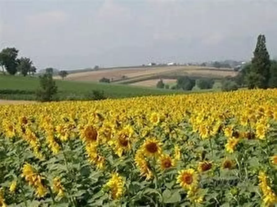 casa indipendente in vendita a Borgo San Lorenzo