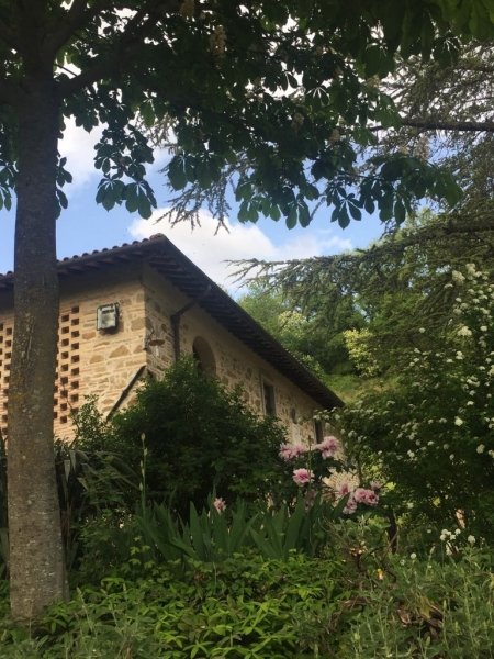appartamento in vendita a Borgo San Lorenzo