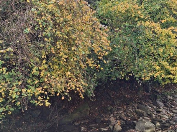 appartamento in vendita a Borgo San Lorenzo in zona Polcanto