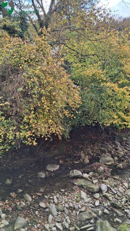 appartamento in vendita a Borgo San Lorenzo in zona Polcanto