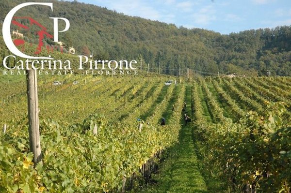 azienda agricola in vendita a Borgo San Lorenzo