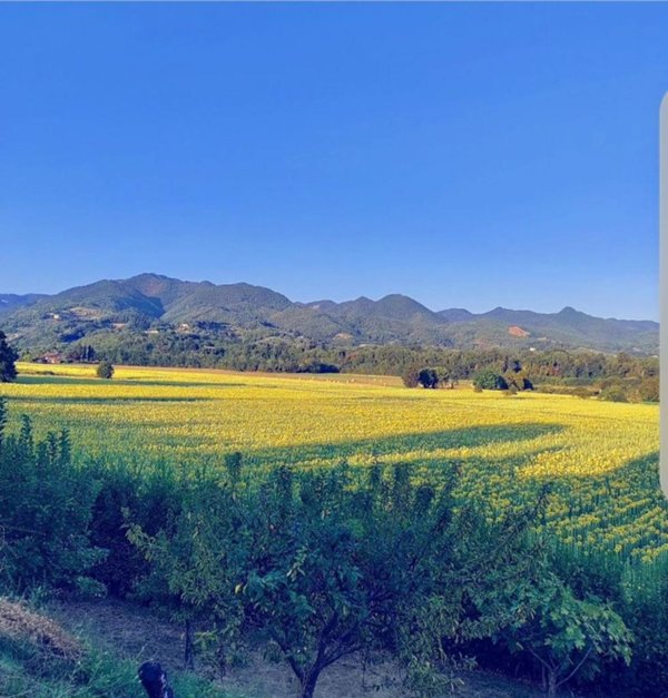 casa indipendente in vendita a Borgo San Lorenzo in zona Panicaglia