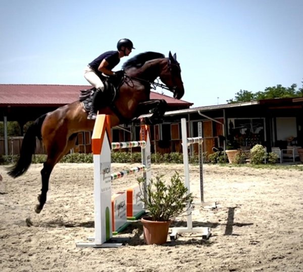 locale commerciale in vendita a Borgo San Lorenzo