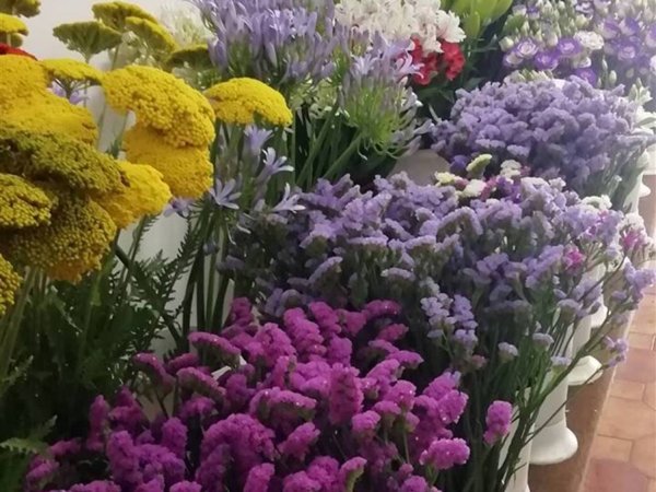 negozio in vendita a Borgo San Lorenzo