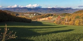 terreno agricolo in vendita a Borgo San Lorenzo