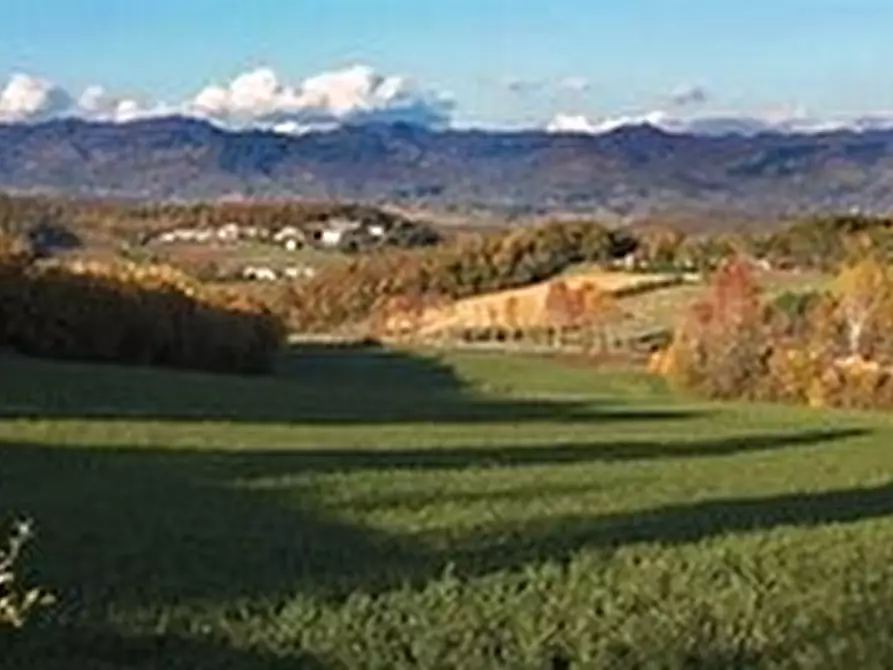 terreno agricolo in vendita a Borgo San Lorenzo
