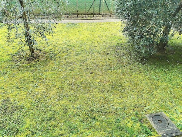 appartamento in vendita a Borgo San Lorenzo
