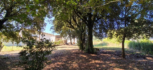 appartamento in vendita a Borgo San Lorenzo