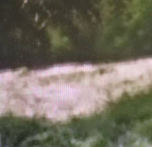 terreno agricolo in vendita a Borgo San Lorenzo in zona Sagginale