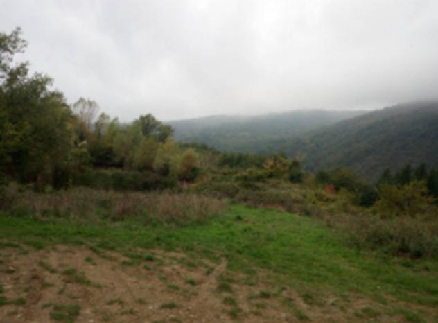 terreno agricolo in vendita a Borgo San Lorenzo in zona Montepulico