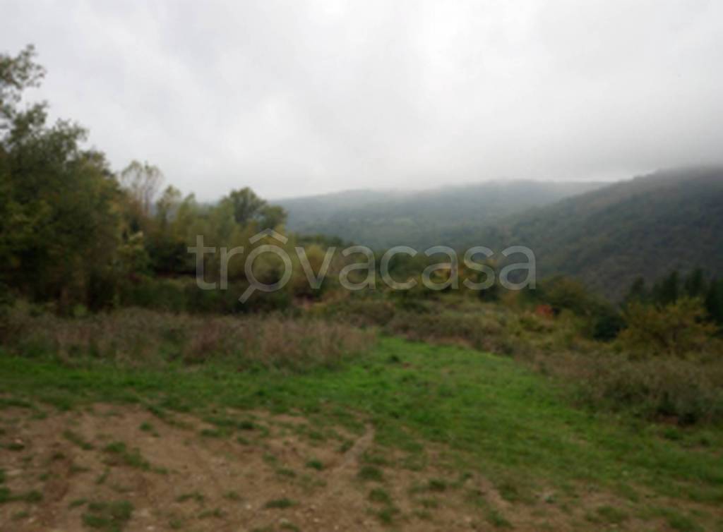 terreno agricolo in vendita a Borgo San Lorenzo in zona Montepulico
