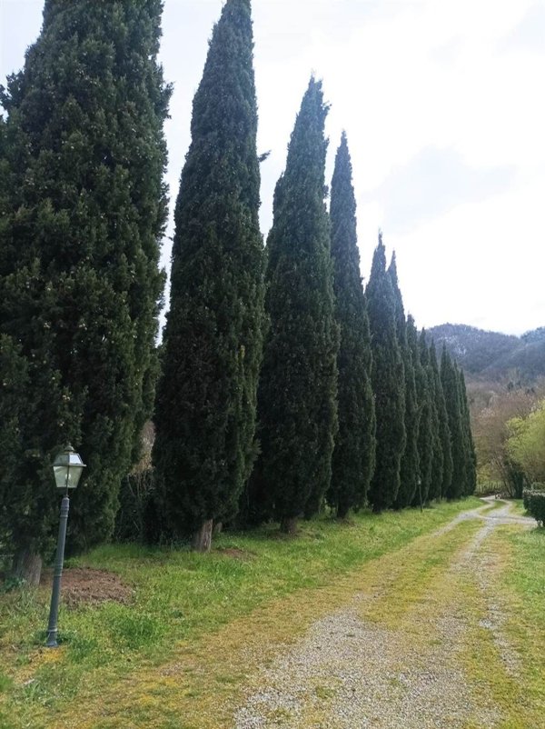 pentavano in vendita a Borgo San Lorenzo in zona Polcanto