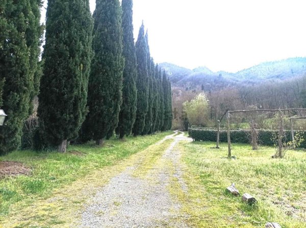 pentavano in vendita a Borgo San Lorenzo in zona Polcanto