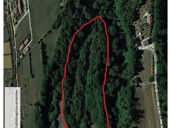 terreno agricolo in vendita a Borgo San Lorenzo in zona Panicaglia