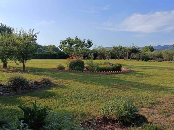 terreno agricolo in vendita a Borgo San Lorenzo in zona Rabatta