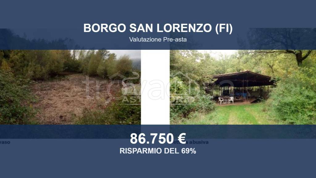 terreno agricolo in vendita a Borgo San Lorenzo