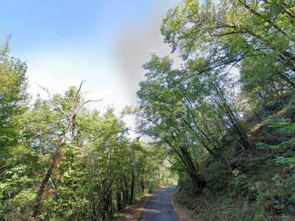 terreno agricolo in vendita a Borgo San Lorenzo
