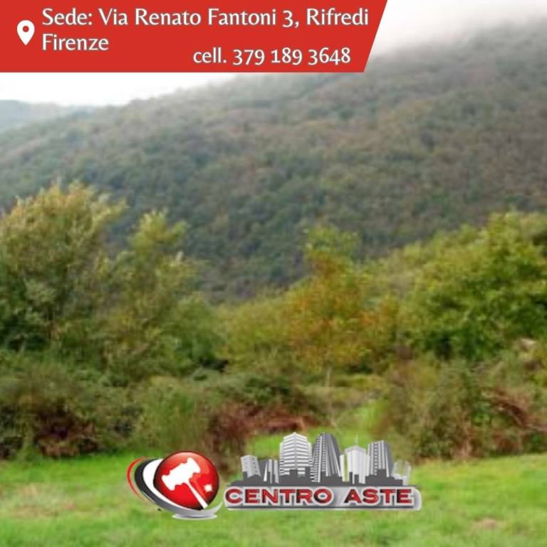 casa indipendente in vendita a Borgo San Lorenzo in zona Montepulico