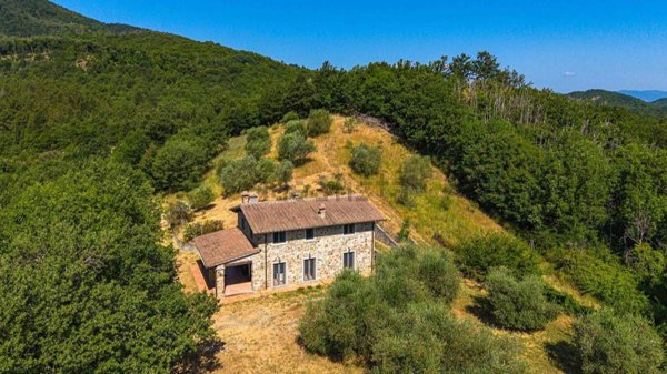 casa indipendente in vendita a Borgo San Lorenzo in zona Polcanto