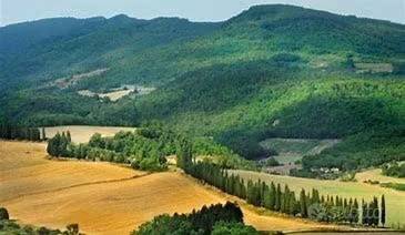 terreno in vendita a Borgo San Lorenzo