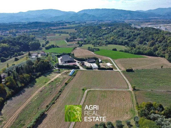 terreno agricolo in vendita a Borgo San Lorenzo