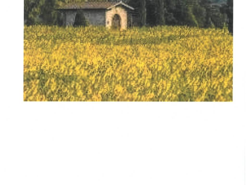 terreno in vendita a Borgo San Lorenzo in zona Sagginale