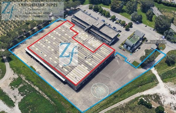 casa indipendente in affitto a Calenzano