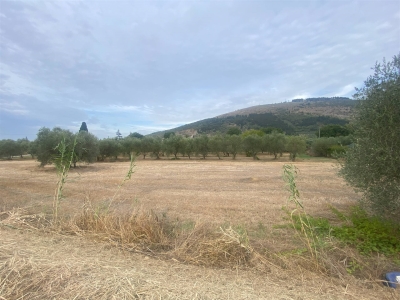 terreno agricolo in vendita a Calenzano