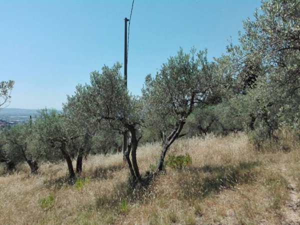 terreno agricolo in vendita a Calenzano in zona Baroncoli