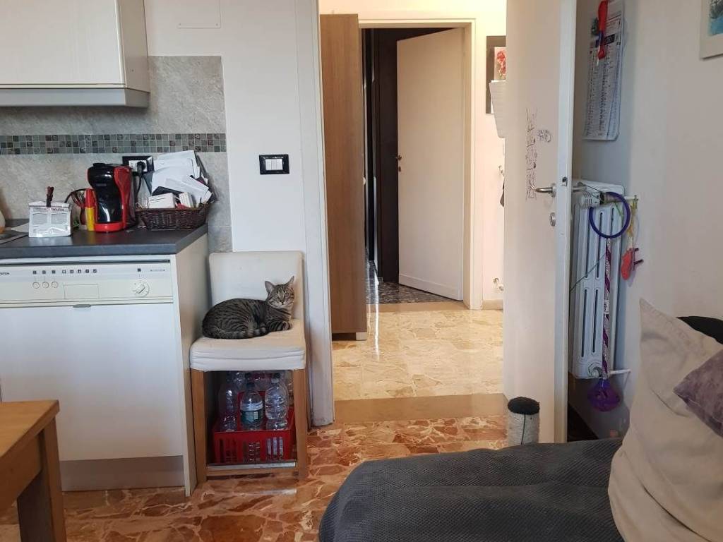 appartamento in vendita a Calenzano in zona Ponte alla Marina