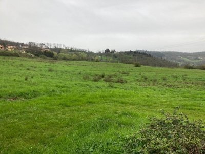 terreno agricolo in vendita a Calenzano