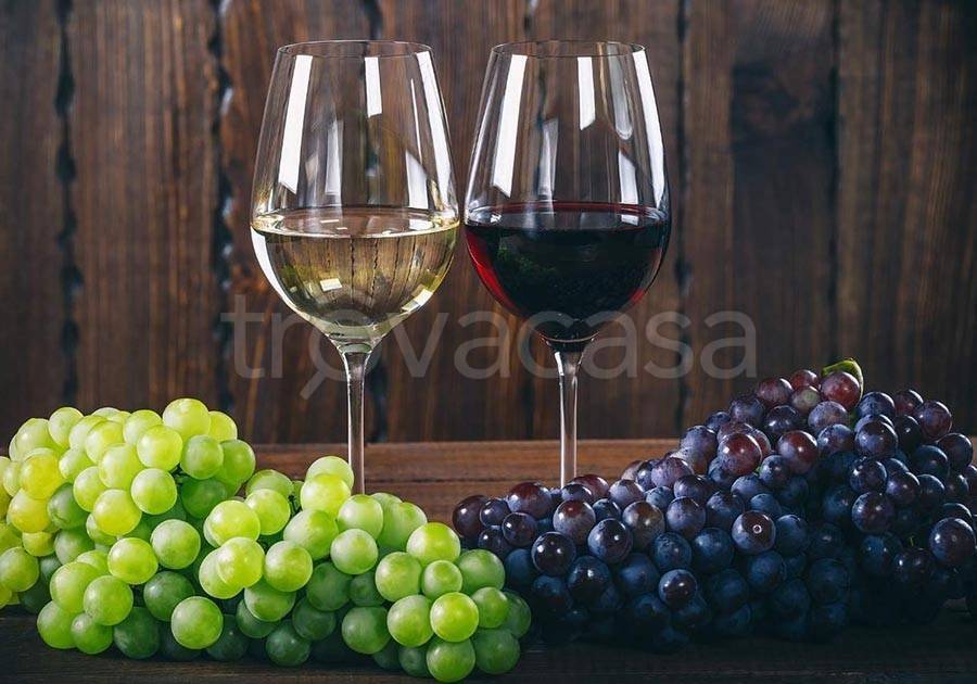 appartamento in vendita a Calenzano