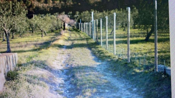 rudere in vendita a Calenzano in zona Baroncoli