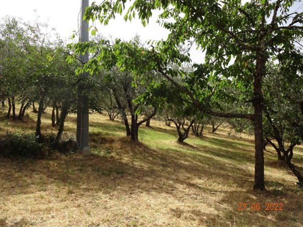 terreno agricolo in vendita a Calenzano in zona Leccio