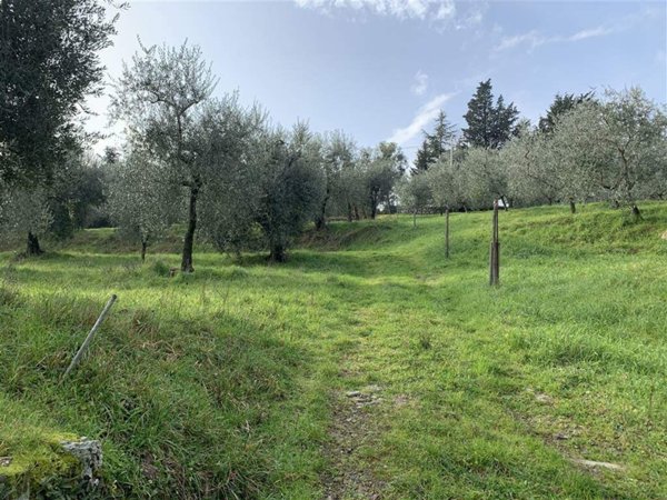 terreno agricolo in vendita a Calenzano in zona Carraia