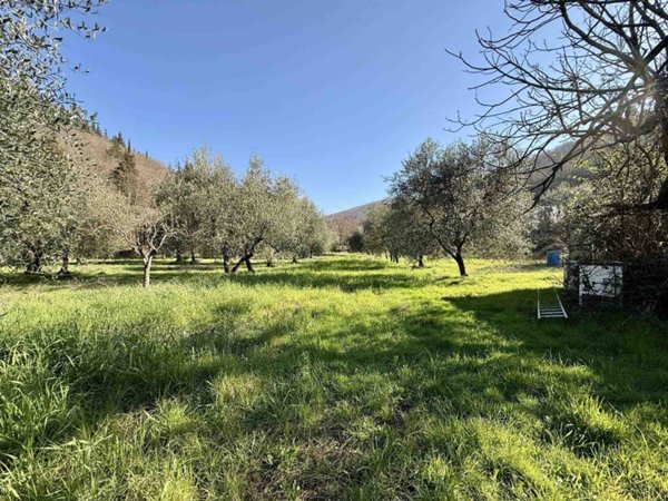 terreno agricolo in vendita a Calenzano in zona Legri