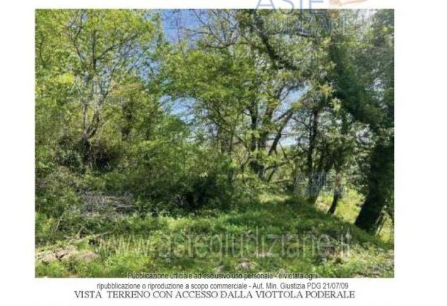 terreno agricolo in vendita a Calenzano