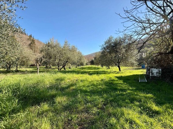 terreno agricolo in vendita a Calenzano in zona Legri