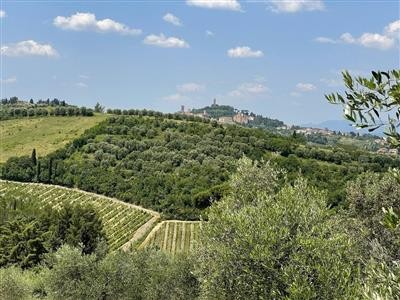 azienda agricola in vendita a Calenzano