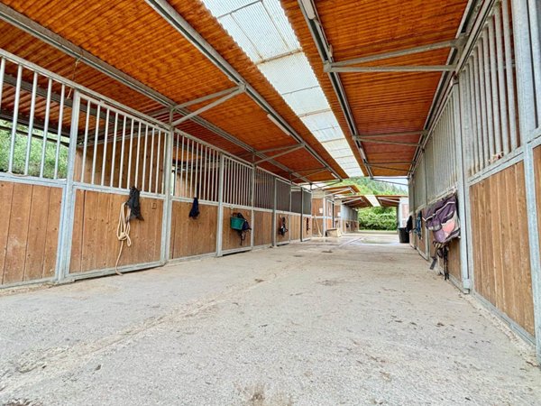azienda agricola in vendita a Calenzano