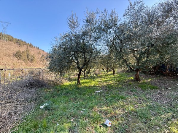 terreno agricolo in vendita a Calenzano in zona Legri