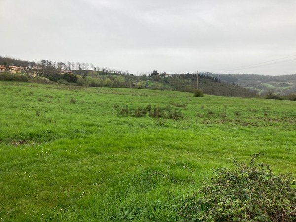 terreno agricolo in vendita a Calenzano