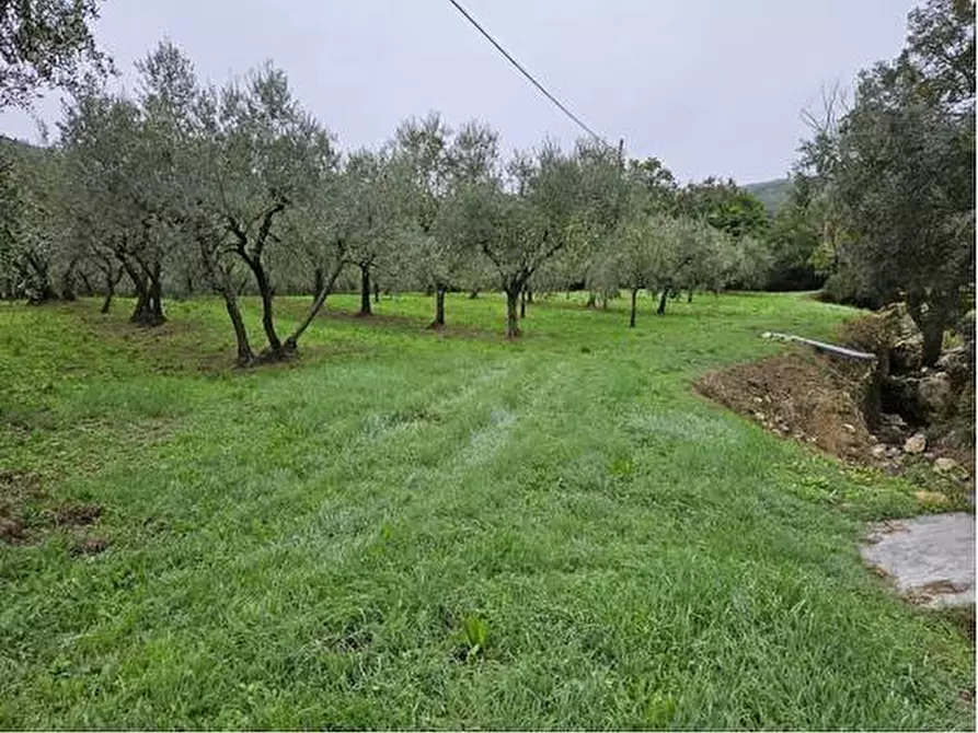 terreno agricolo in vendita a Calenzano in zona Secciano