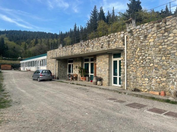 negozio in vendita a Calenzano