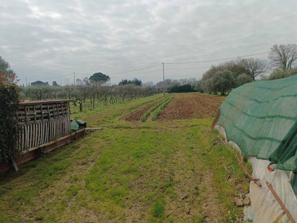terreno agricolo in vendita a Calenzano in zona Travalle